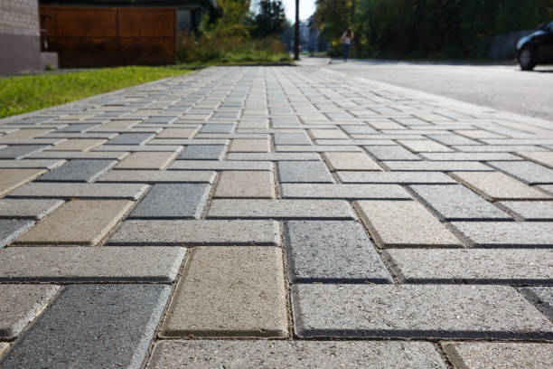 Best Driveway Pavers Near Me  in Farmer City, IL