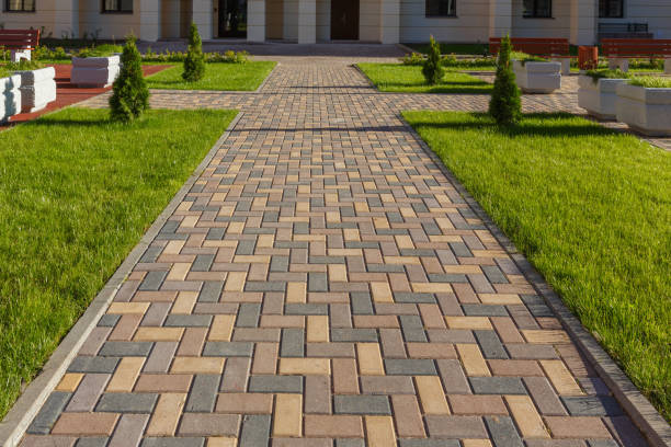 Best Driveway Paving Contractor  in Farmer City, IL